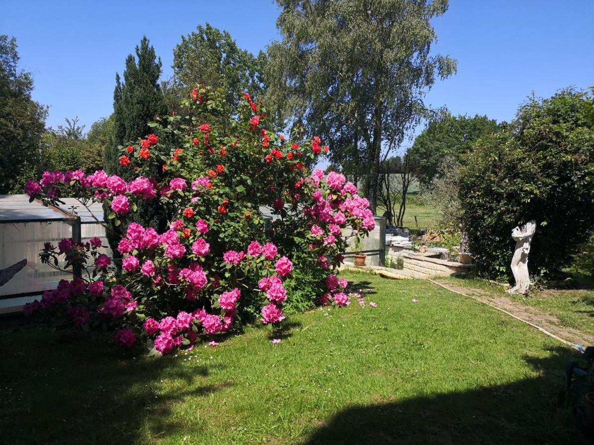 Bed and Breakfast Au Jardin Fleuri Secondigny Exterior foto